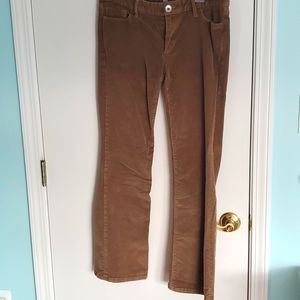 Banana Republic corduroy bootcut pants. Size 28P (28 inch, petite length)